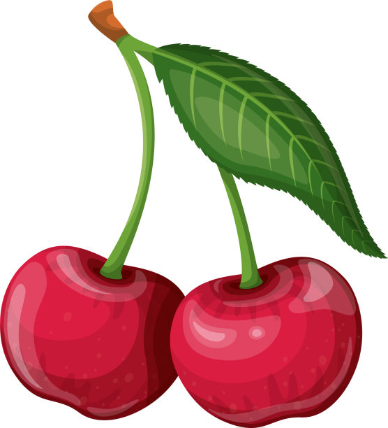 樱桃水果浆果图片下载
