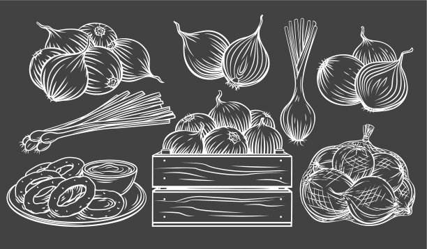 洋葱轮廓绘制单色图标集图片下载