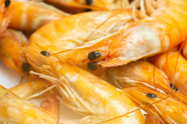 美味的虾背景。新鲜的虾，健康的海鲜，特写照片。图片下载