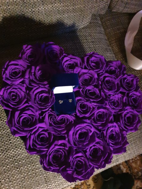 玫瑰的心图片下载