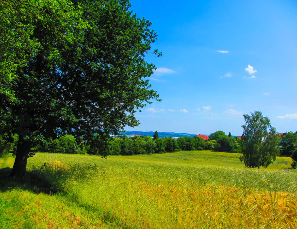 美丽的乡村景观在夏天图片下载