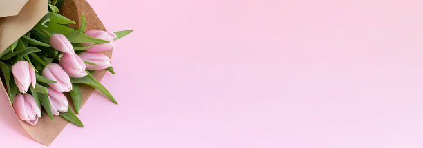 一束郁金香花图片下载