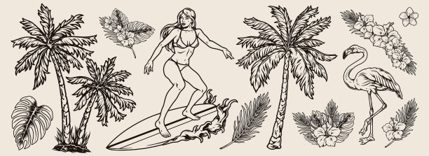 冲浪复古单色构图图片下载