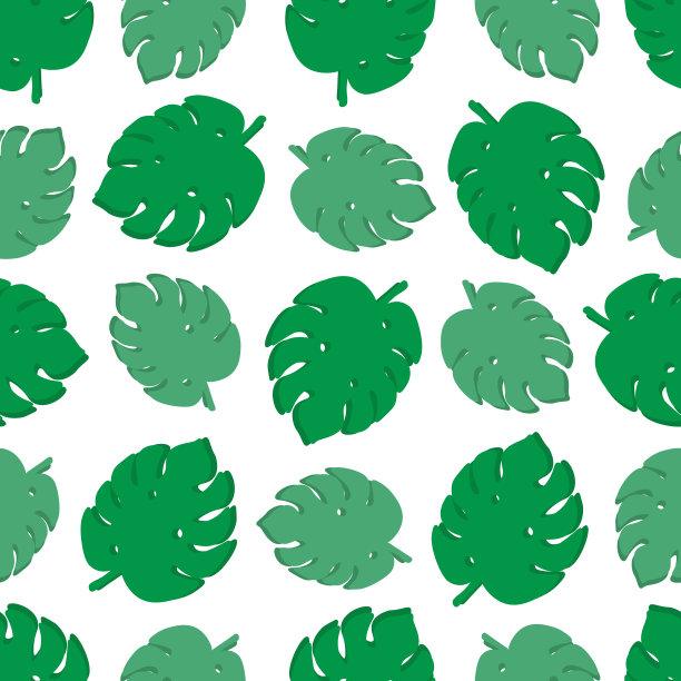 Monstera叶热带无缝模式。抽象的夏天纹理。设计织物，墙纸，纺织品和装饰。图片下载