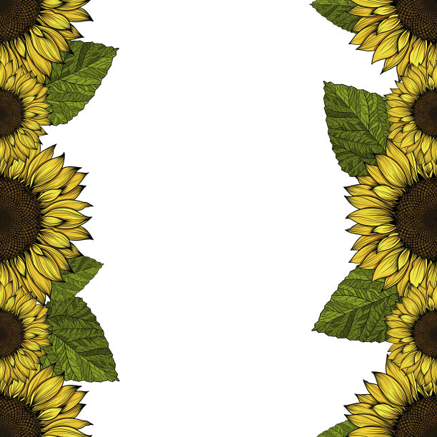 无缝的向日葵模式图片下载