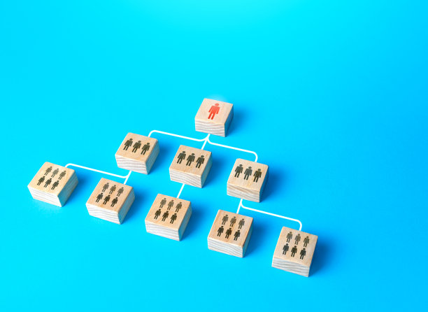 一个公司或社会中人们的组织等级制度的图表。业务人员管理。从属关系，职责分配。领导。优化员工的生产力。图片下载