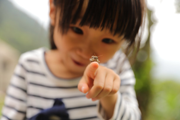 一只蚱蜢停留在一个孩子的手掌上图片下载