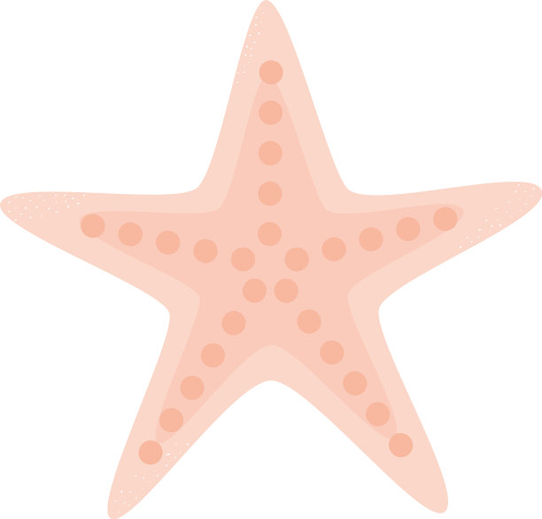 白色背景上的海星图片下载
