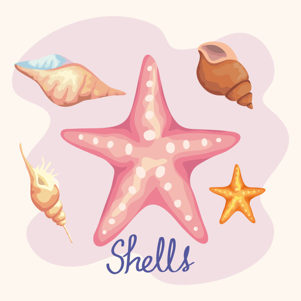 五个海贝壳的颜色设置图标和字母图片下载