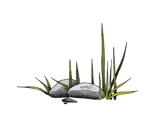 堆石头，大的沉重的卵石与草的颜色草图矢量插图图片下载