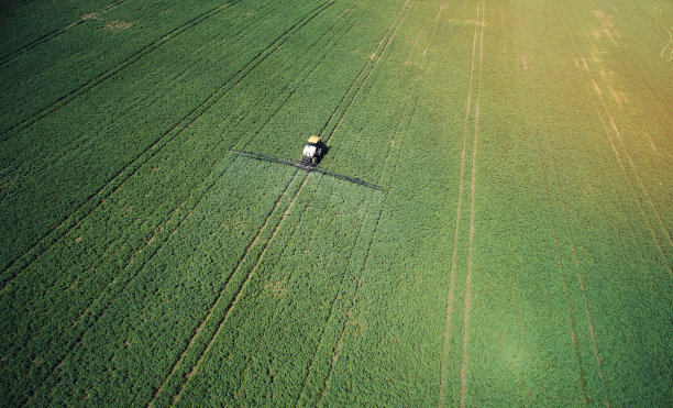 在阳光明媚的日子里给绿色的田野施肥图片下载