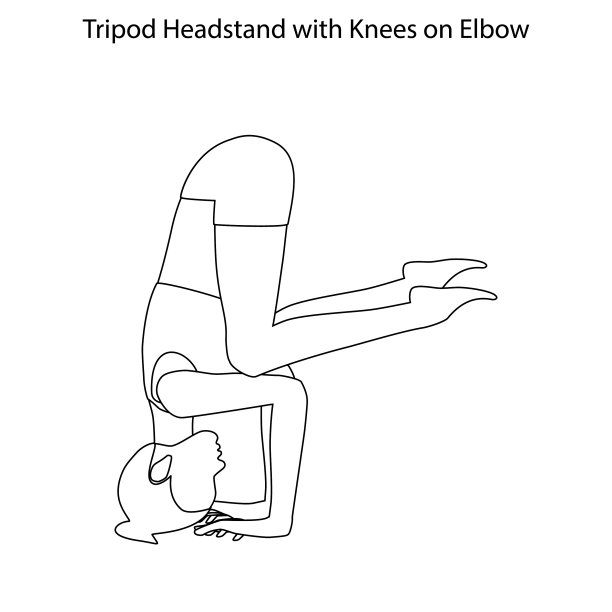 三脚架倒立，膝盖放在手肘上图片下载