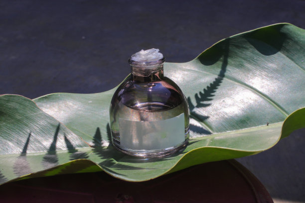 绿叶上的香水瓶图片下载