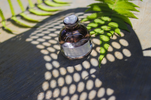 美丽的阴影覆盖超过50毫升香水瓶与空白白色标签和绿色树叶在绿色树叶的背景。香水瓶库存照片图片下载