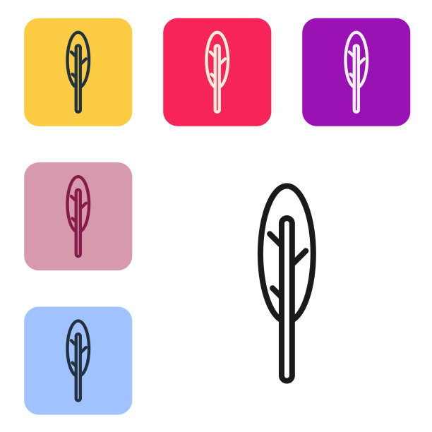 黑色线羽毛笔图标孤立在白色图片下载