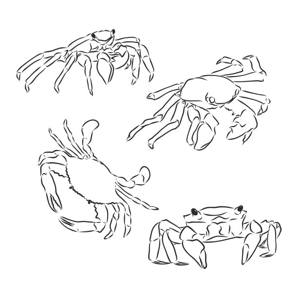 复古蟹画手绘单色图片下载