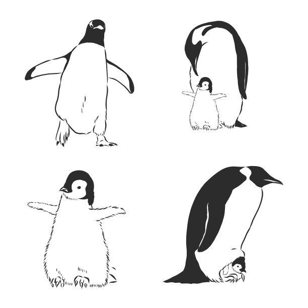 企鹅动物图标企鹅素描图片下载