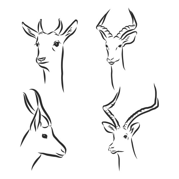 羚羊素描图形黑白绘图图片下载