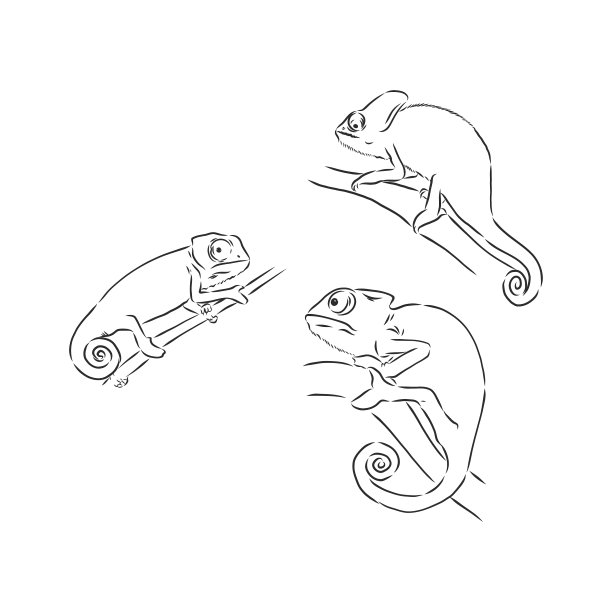 手绘变色龙动物素描图片下载