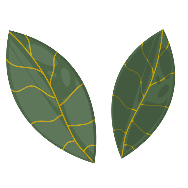 经典的叶子被孤立在白色的背景上图片下载