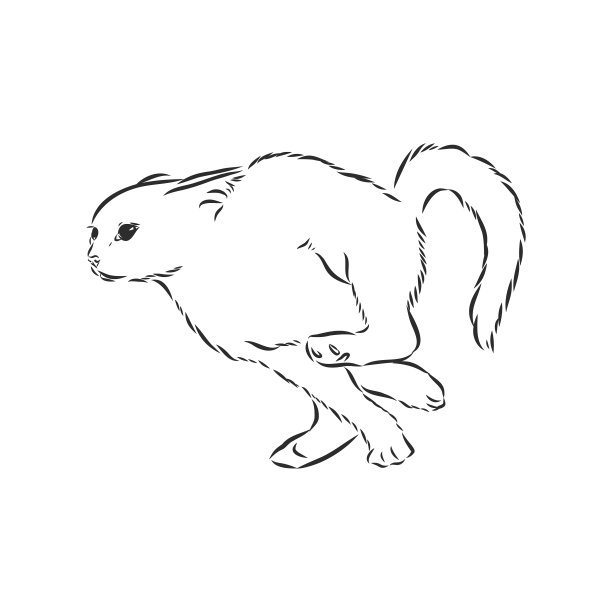 奔跑的猫黑色素描猫奔跑的猫图片下载