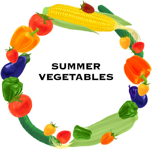 蔬菜圈，夏季蔬菜矢量插图。图片下载