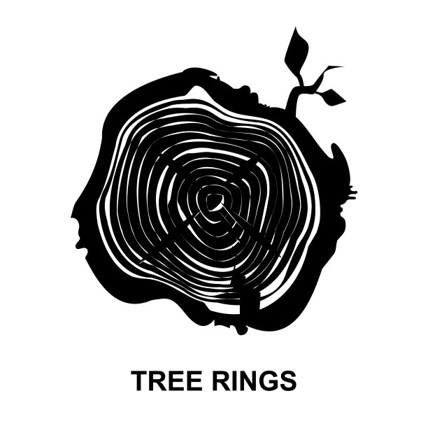 树干切割或木材横截面收集图片下载