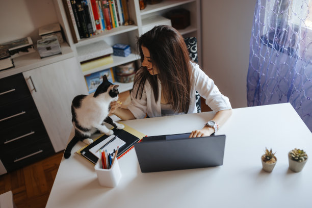 可爱的小干扰图片下载