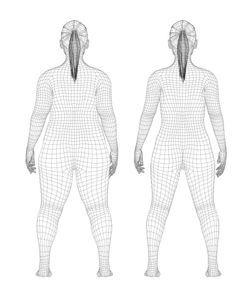 胖和苗条的女人减肥前后图片下载