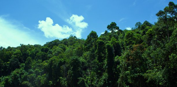 独特的时刻图片下载