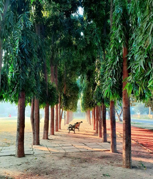 天堂里的座位图片下载