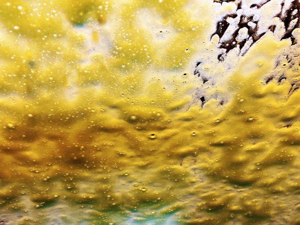 黄色的泡沫!图片下载