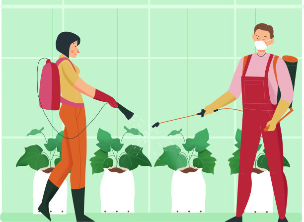 喷洒杀虫剂的植物成分图片下载