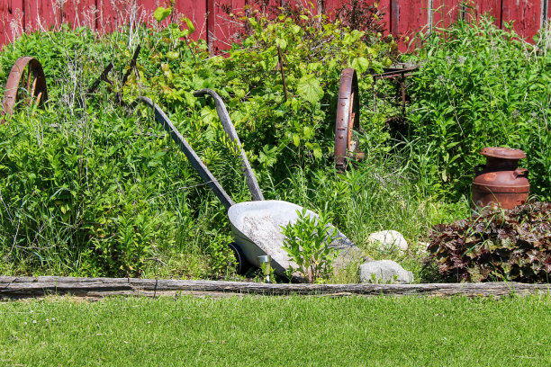 农村农场红色谷仓建筑与古董农具花园工具在明亮的阳光下展示图片下载