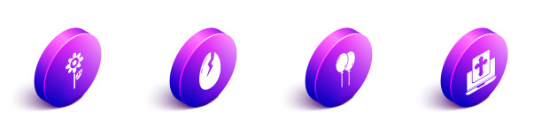 设置等距花破蛋气球图片下载