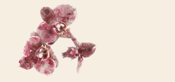 老式贺卡图片下载