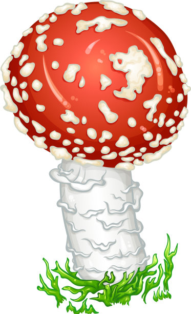 飞木耳蘑菇色图片下载