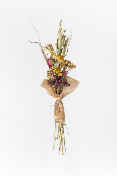 白色背景上分离的一束茶干药草。图片下载