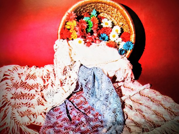 春花静物图片下载