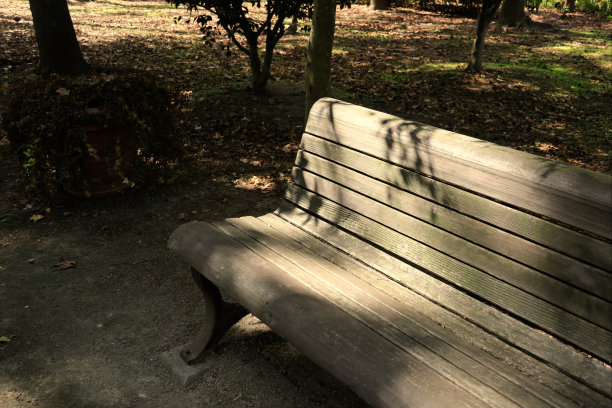 树荫下的一条长凳。图片下载