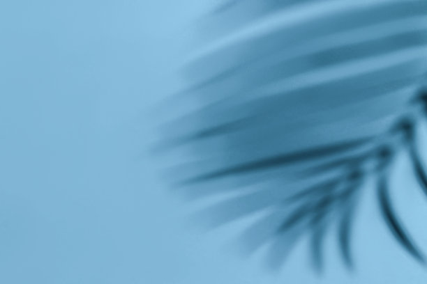 蓝色的背景和棕榈树的影子。休闲、旅游、娱乐概念与复制空间图片下载