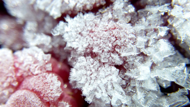 冰冻的树莓在冰雪微距照片模糊的背景图片下载