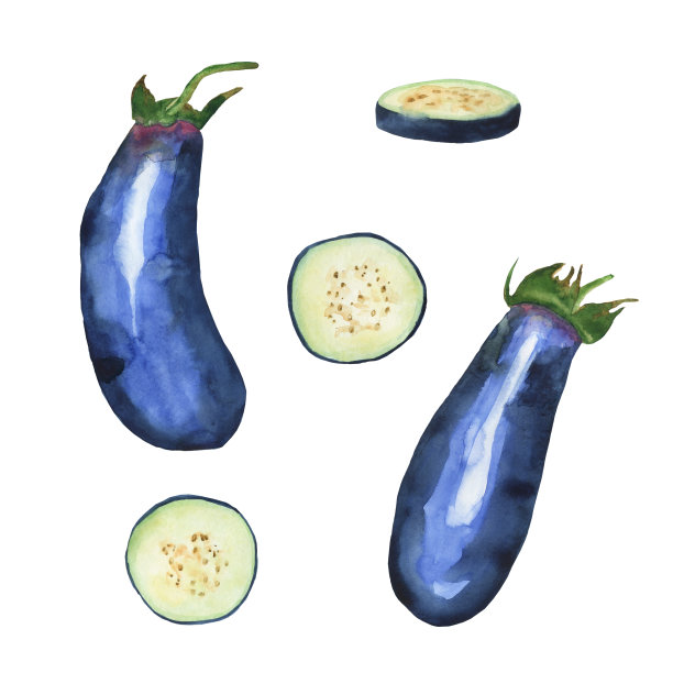 一组茄子，整个和切片孤立在白色背景上。新鲜蔬菜的水彩手绘插图。适合健康的夏季食品设计，印刷，横幅，海报。图片下载