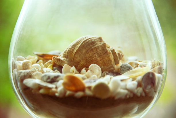 海贝壳在海边的玻璃里图片下载