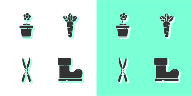 在花盆中放置水或橡胶靴花图片下载