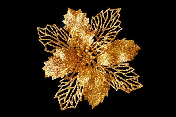 金花暗黑色背景孤立近距离，美丽的金花，黄色金属花，花卉图案，圣诞树装饰，新年装饰，豪华复古装饰设计元素图片下载