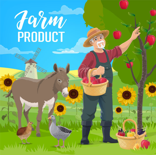 农民收获了水果和蔬菜图片下载