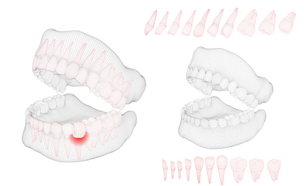 人体下颚3d布局医疗和健康疼痛的牙齿图片下载