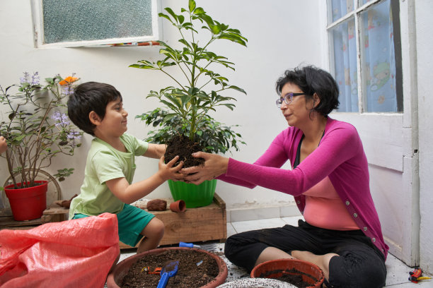 妈妈和孩子带着盆栽。儿童生态教育。园艺会话图片下载
