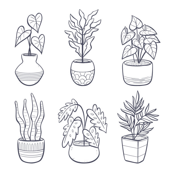 室内植物手绘收集图片下载